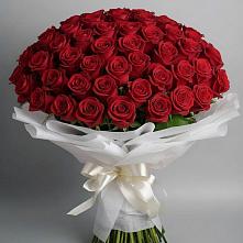 Букет 101 Красная роза Блэк Мэджик в Чалтыре