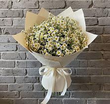 Букет цветов из:  Ромашки в Чалтыре