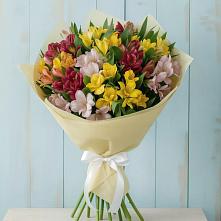 Букет цветов из:  Альстромерии в Чалтыре