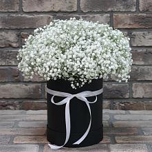 Цветочная композиция из Гипсофила в шляпной коробке #REPLACE_PRED# Чалтыре