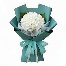 Букет цветов из:  Гортензия в Чалтыре
